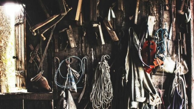 Pemprov Papua Tengah Dorong Hilirisasi Komoditas Lokal